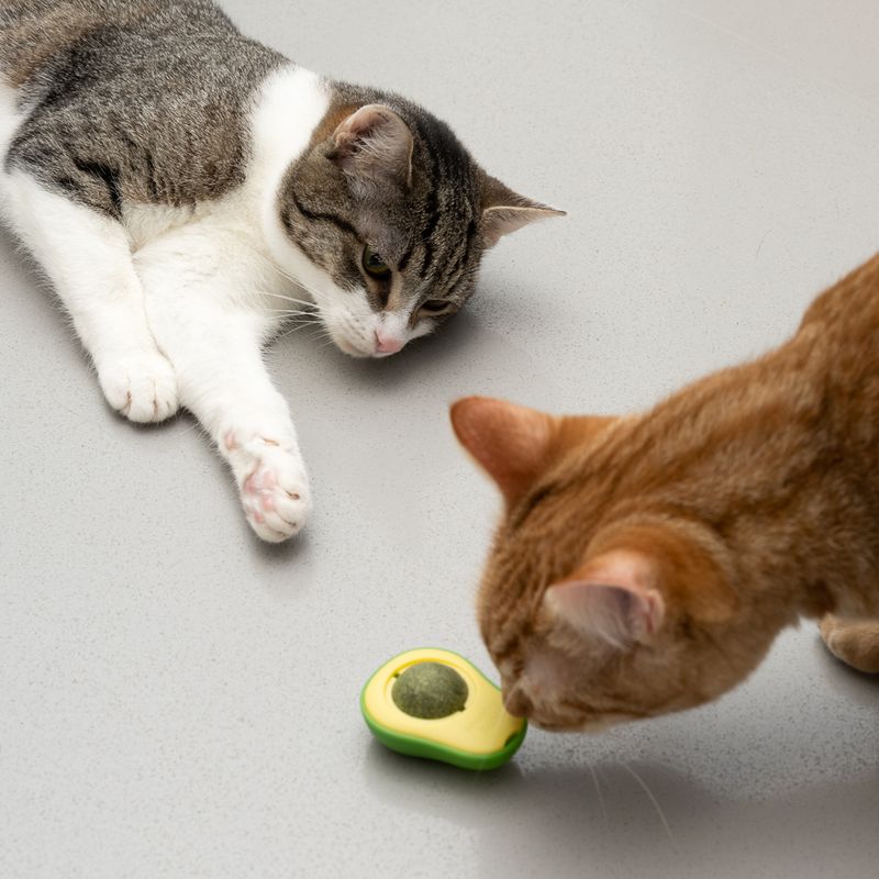 Jouet TIAKI Avocat avec balle de menthe à chat