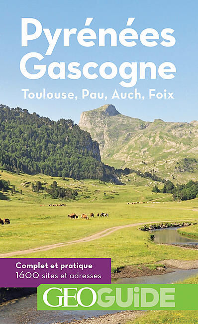GALLIMARD - GEOGUIDE PYRENEES GASGOGNE