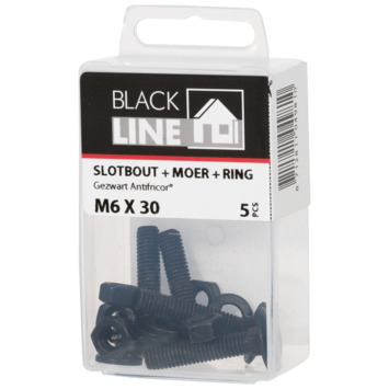 Blackline slotbout incl. moer en ring M6x30 5 stuks