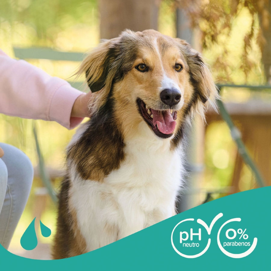 Shampoo universal para cães Beaphar