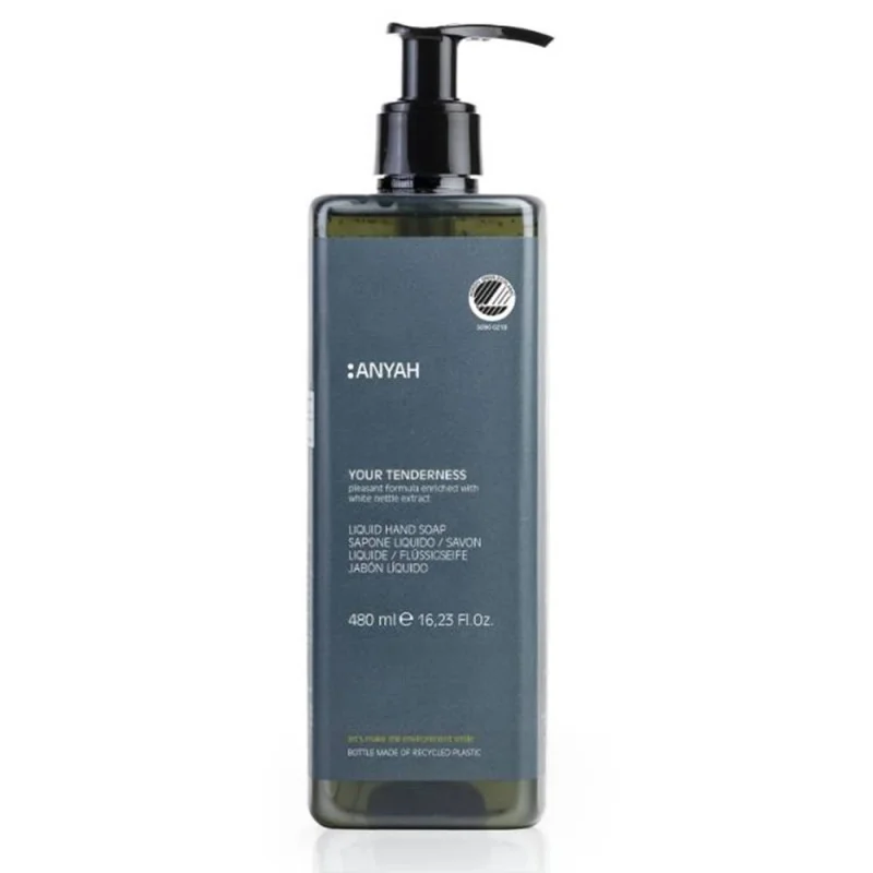 GFL – Savon liquide mains - Anyah – 480ml – x18