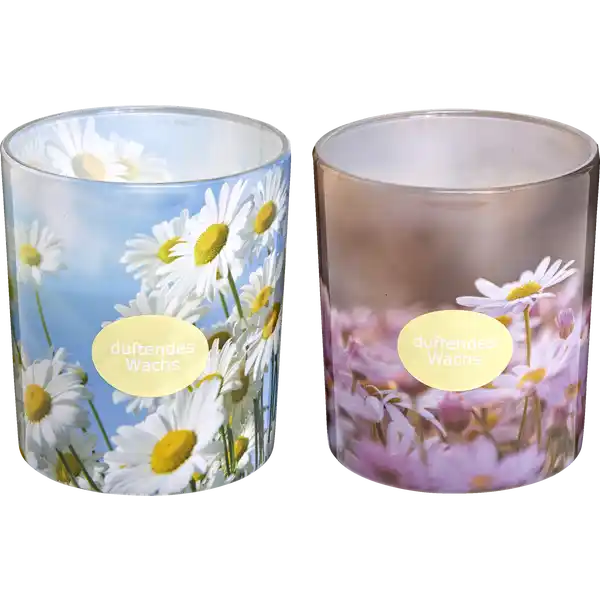 Sleeveglas Gänseblümchen