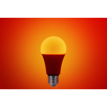 Lutec Connect slimme ledlamp Led Bulb wit en gekleurd licht E27 9W