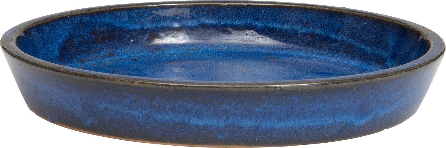 Intratuin plantenschaal Sefa blauw D 36 H 5 cm
