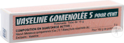 Vaseline Gomenolée 5% Pommade Tube 15g