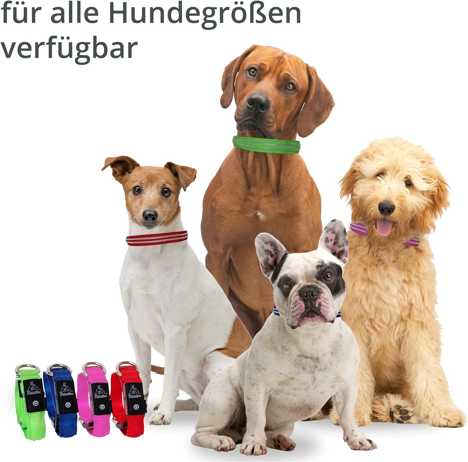 PETSATION Leuchthalsband Hundehalsband