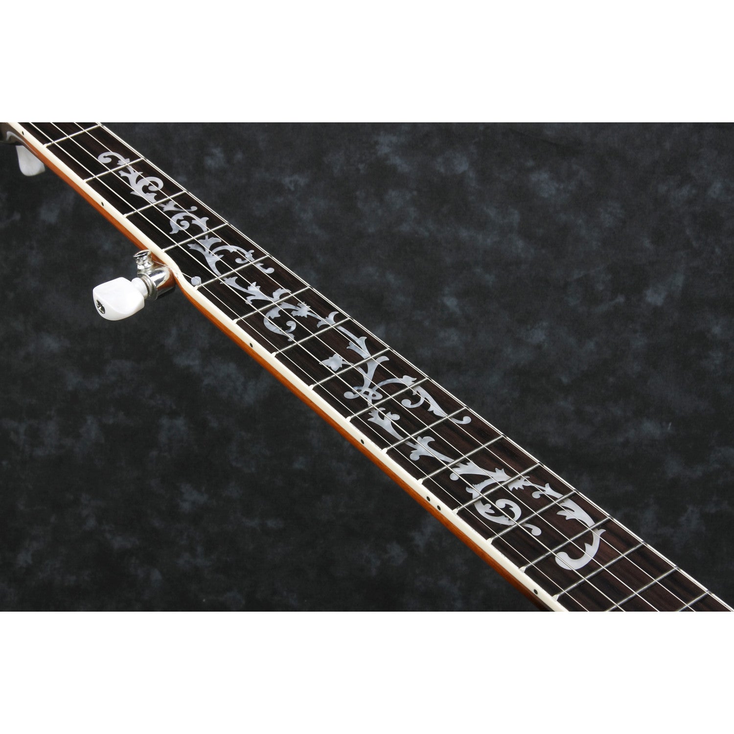 Ibanez B200 5-snarige banjo