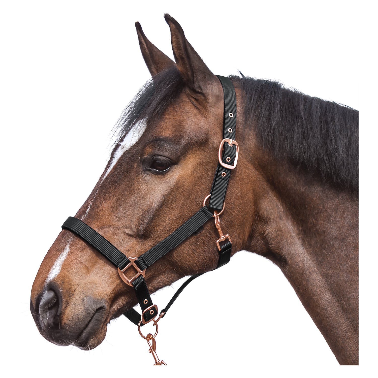 Horse-friends Halfter Lima  - black