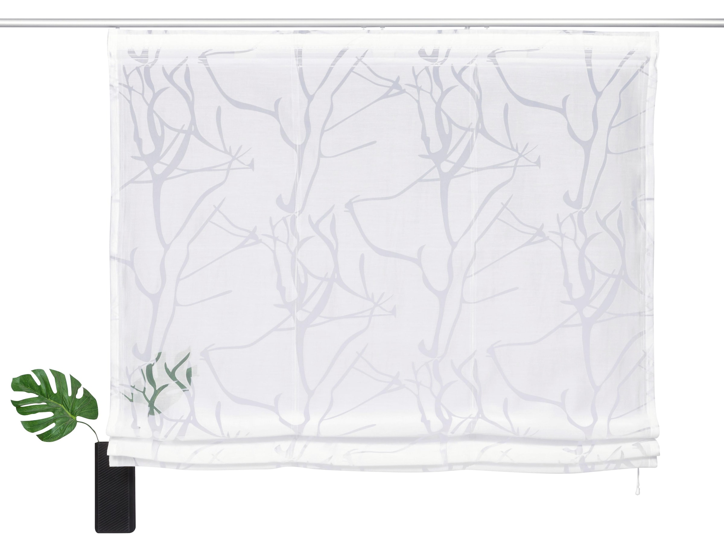 my home Raffrollo »Anna« mit Klettband Halbtransparent, Ausbrenner, Viskose