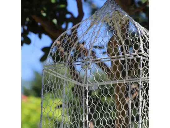 Cage à oiseaux décorative ancienne grillagée métal blanc 19x25.5x52cm
