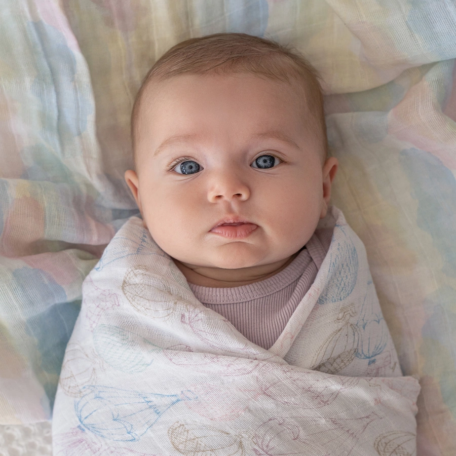 aden + anais™ Pucktücher above the clouds 2er-Pack