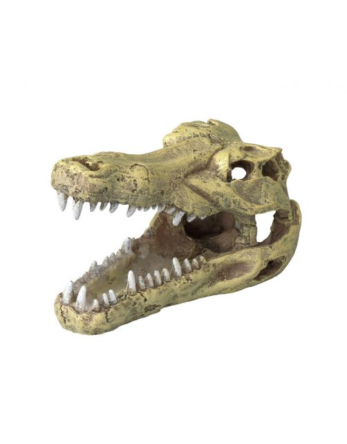Aqua Della Decor Schedel Krokodil S - Aquarium - Ornament