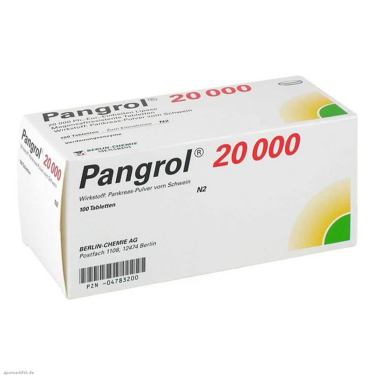Pangrol 20000 magensaftresistente Tabletten, 100 St