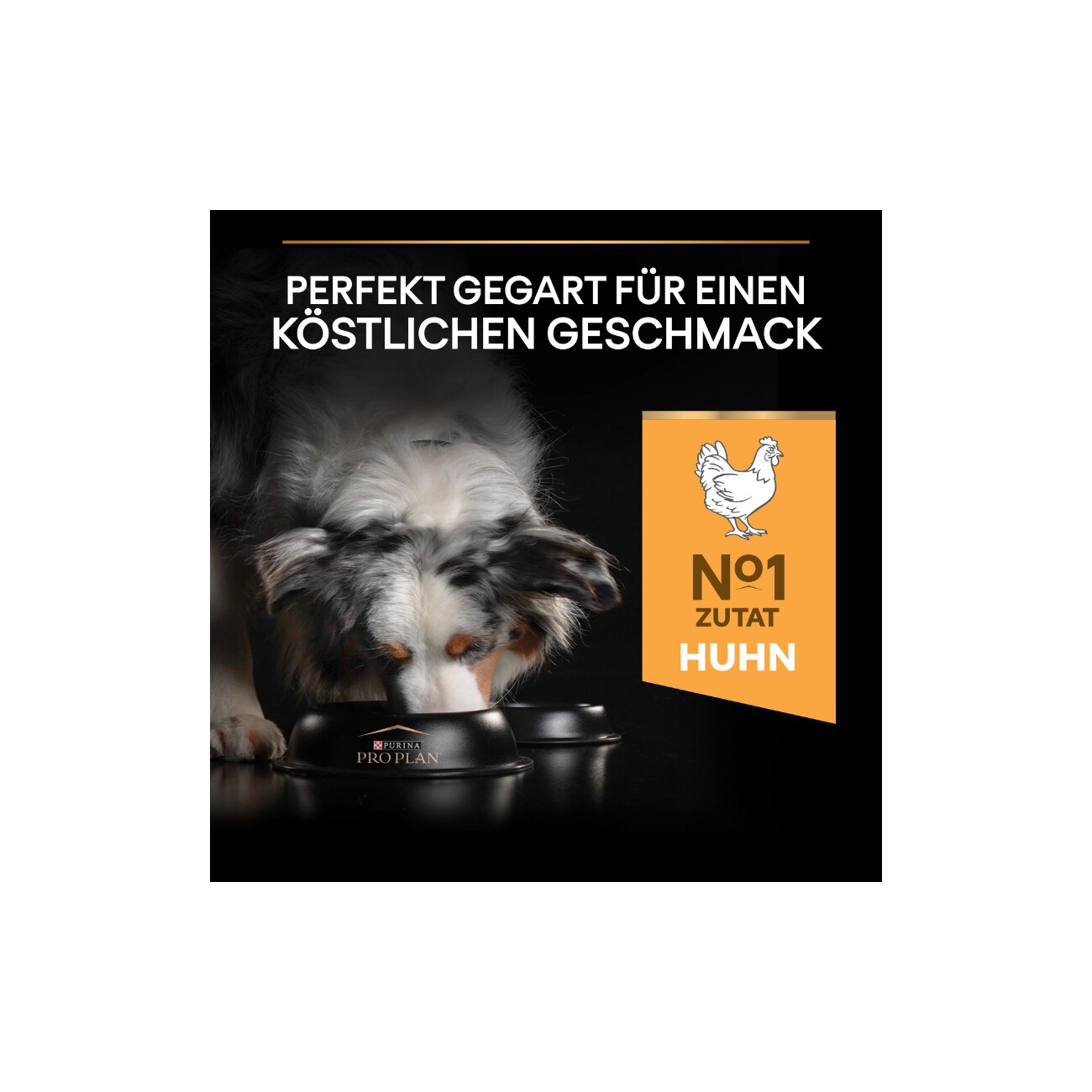 PRO PLAN Adult Medium Everyday Nutrition Huhn 3 kg