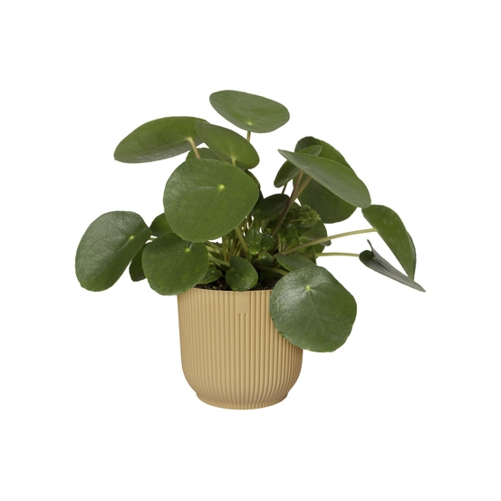 Cache Pot Vibes Fold Rond Ø16cm Jaune