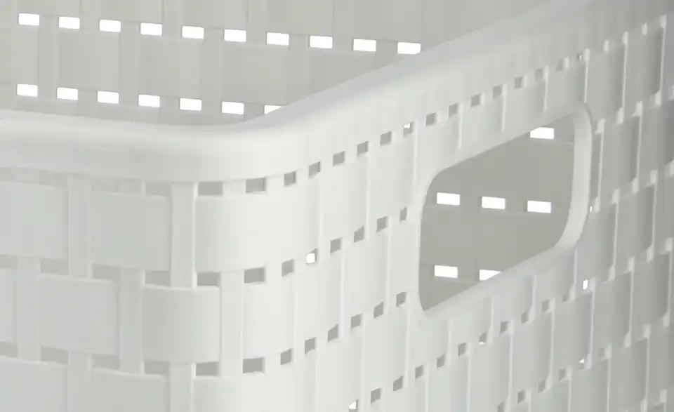 Rotho Aufbewahrungsbox 27,8 cm