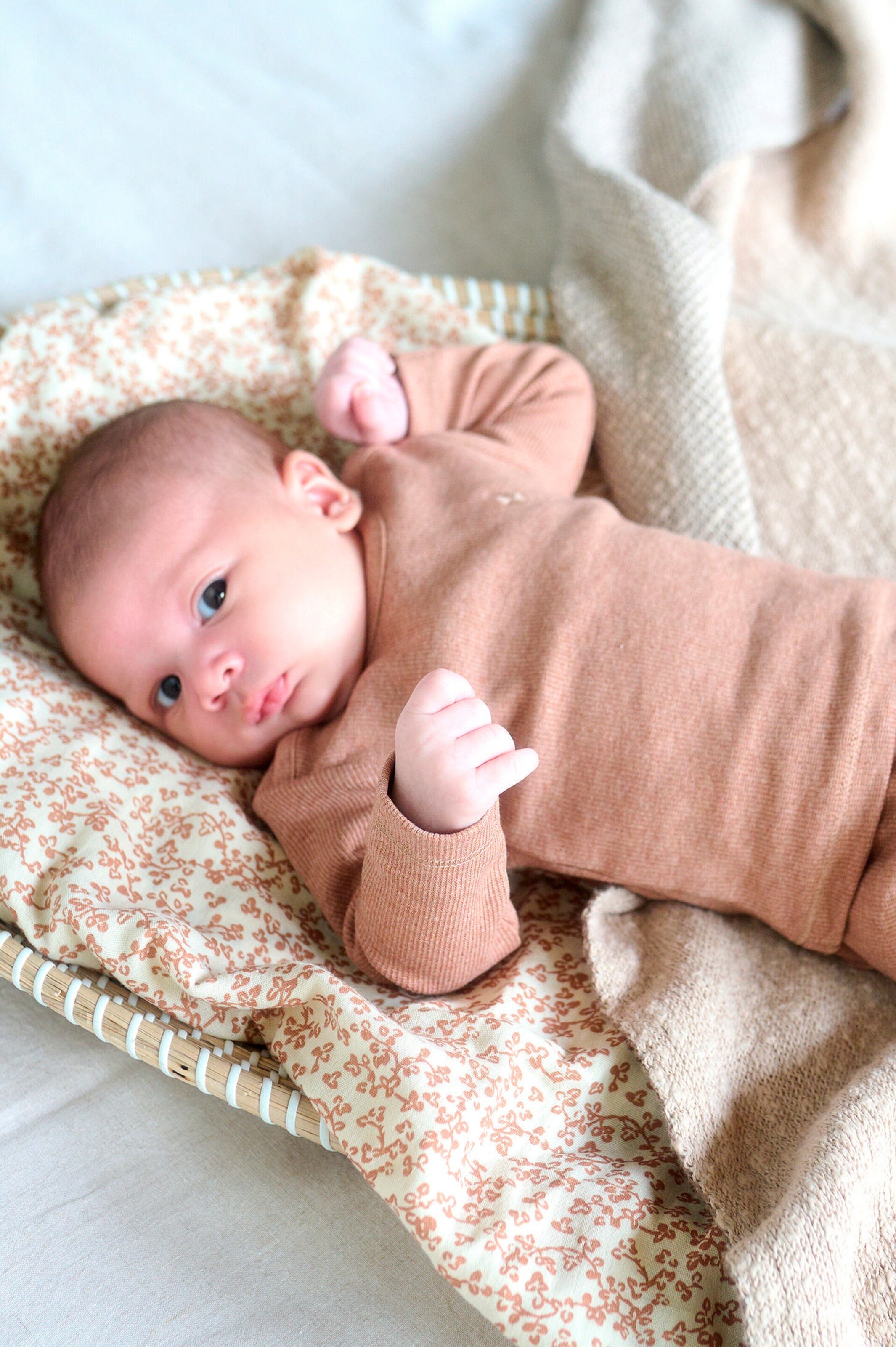 Noppies Baby Jogginghose Naura Cafe Au Lait Melange