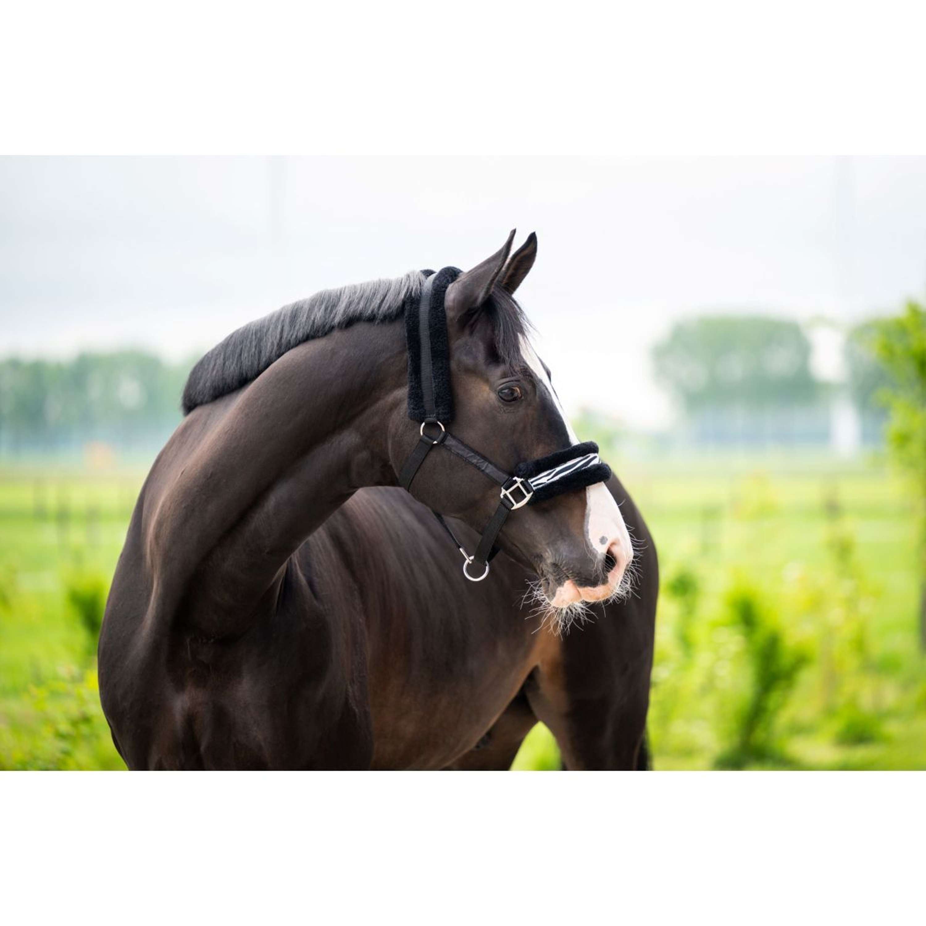 HB Halster Zebra Zwart/Wit