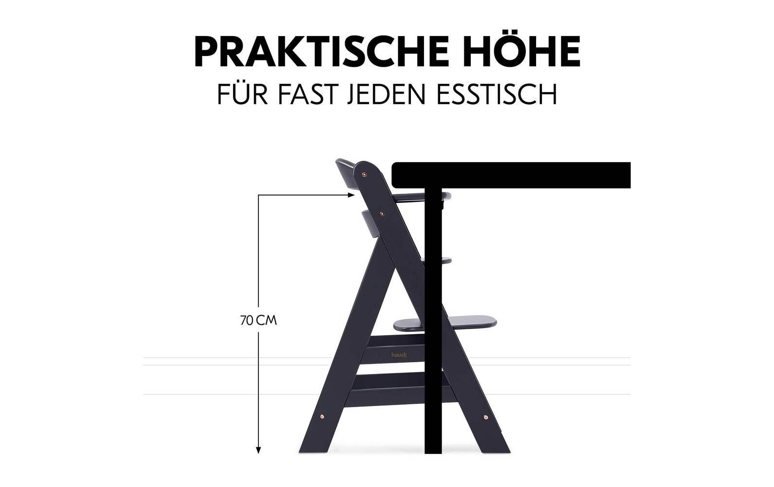 Treppenhochstuhl Alpha Newborn Set Plus Dark Grey<br>Hochstuhl mit 5-Punkt-Gurt