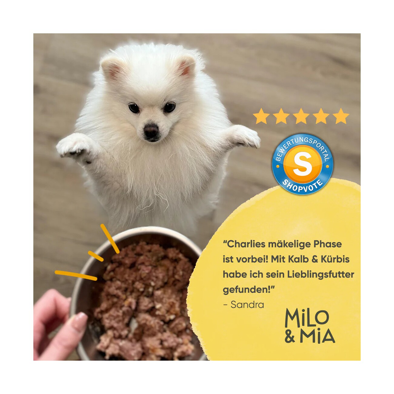 Milo & Mia Kalb, Kürbis & Hirse 6x400 g