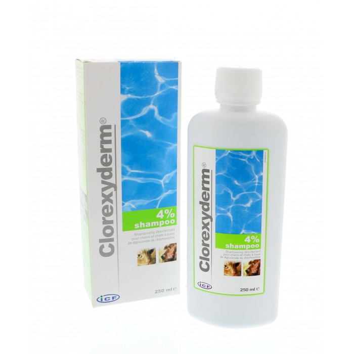 Chlorexyderm shampooing 4%