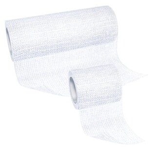 Leukoplast Elastomull Haft Fixatiewindsel 10 cm 1ST