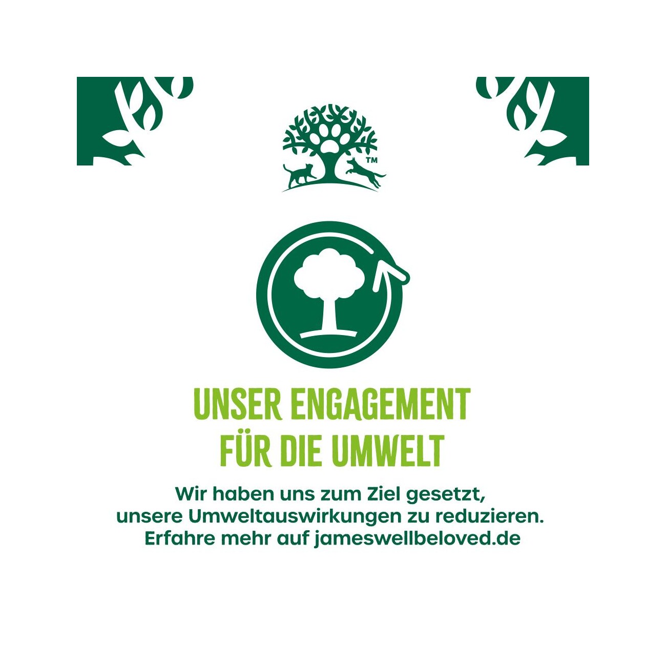 James Wellbeloved JW Hund Getreidef,Truthahn,Gemüse,Sauce