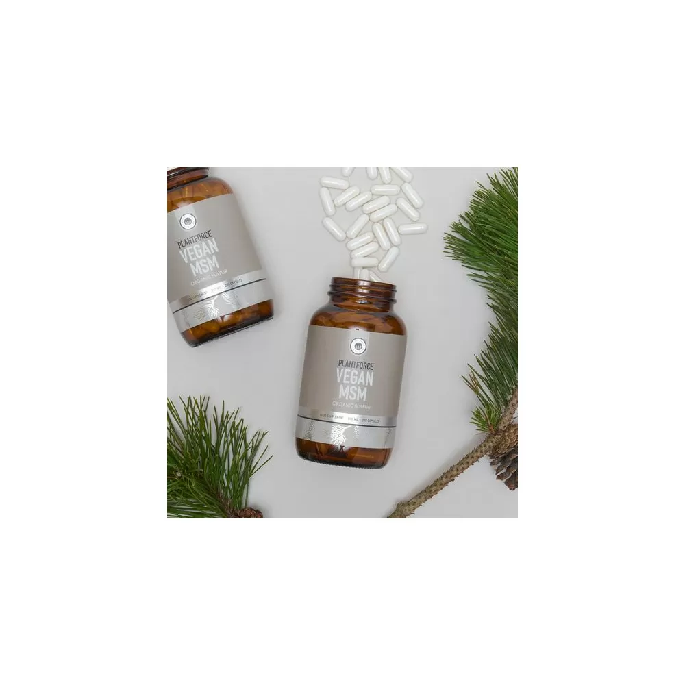 Plantforce MSM 800 mg - 180 kap