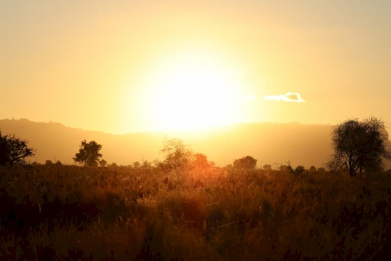 Safarireis Kenia: Tsavo & Taita