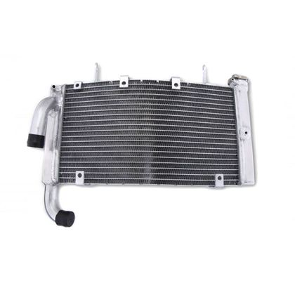 Radiateur Brazoline A EAU ADAPTABLE