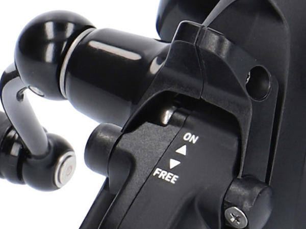 Moulinet Daiwa 19 Black Widow BR LT