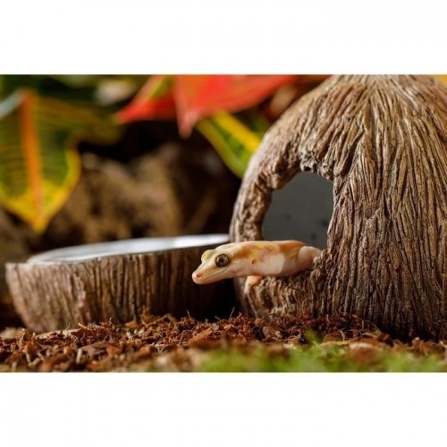 Tigela de coco Exo Terra para decoração de aquário