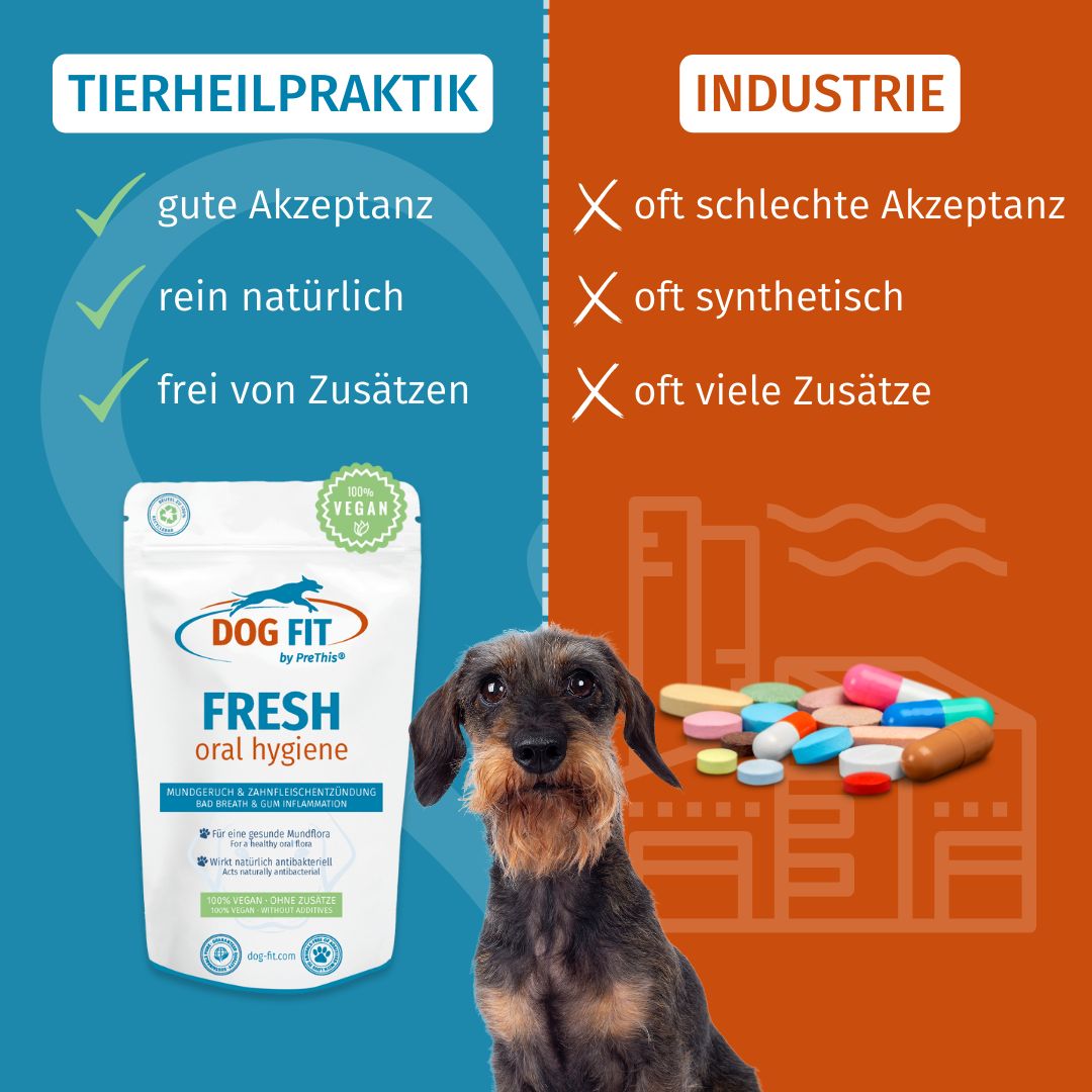 DOG FIT by PreThis® FRESH gegen Maulgeruch und Zahnfleischentzündung bei Hunden
