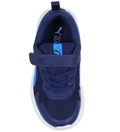 Puma Schuhe - Evolve Run Mesh AC+ PS - Persisch Blue/Racing Blue