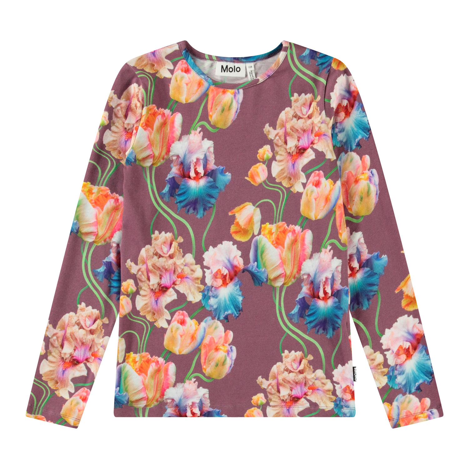 Rose - Rainbow Tulips