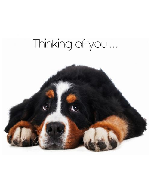 Plenty Gifts Kaart Thinking Of You - Cadeau - 13.7x13.7 cm