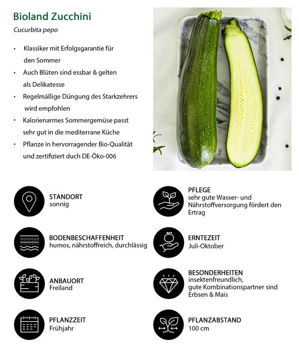 Bioland Zucchini