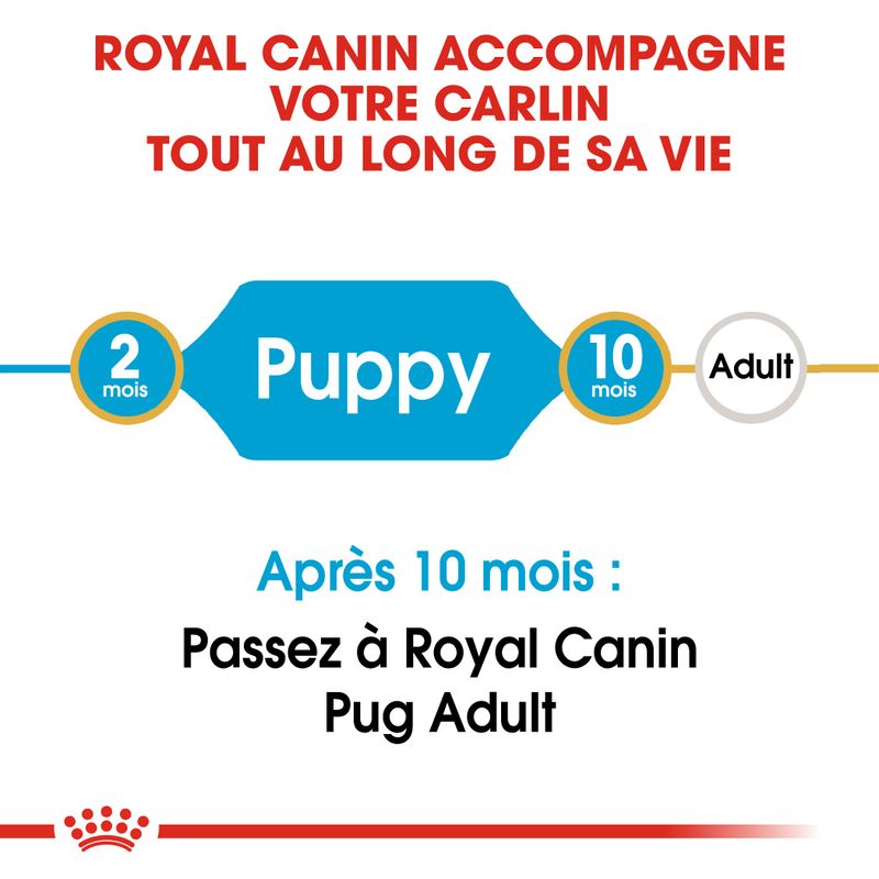 Royal Canin Carlin Puppy