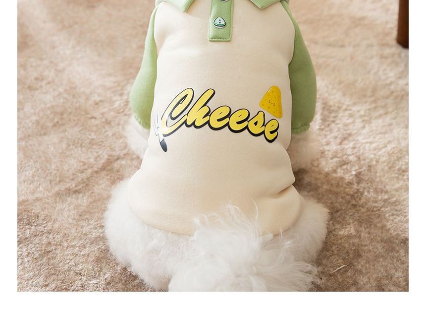 Cissilli - Print Pet Top met Kraag (Diverse Ontwerpen)