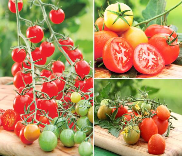 Gemüse-Set Tomatensalat, 3-teilig