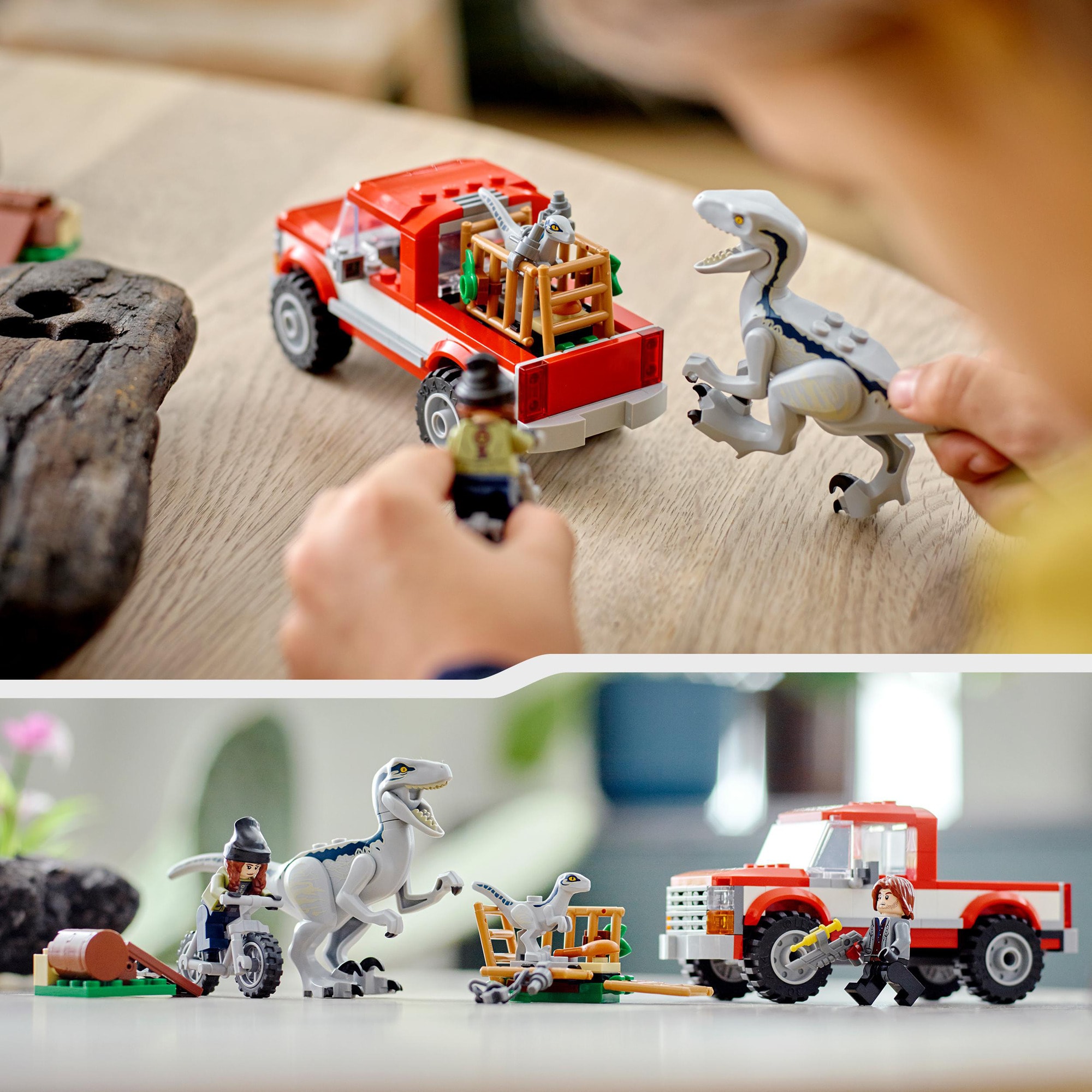 LEGO Konstruktionsspielzeug Jurassic World Blue & Beta in der Velociraptor-Falle