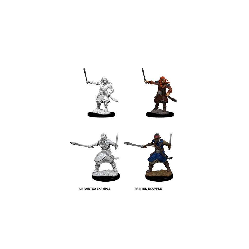 D&D Nolzur's Marvelous Unpainted Miniatures: Bandits