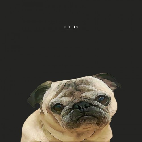Retrato personalizado do seu animal de estimação em preto.