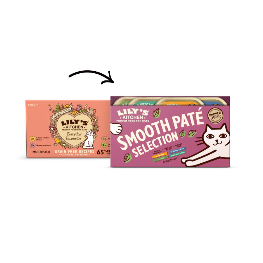Lily's Kitchen Feline Smooth Selection patê tarrinas - Pacote múltiplo