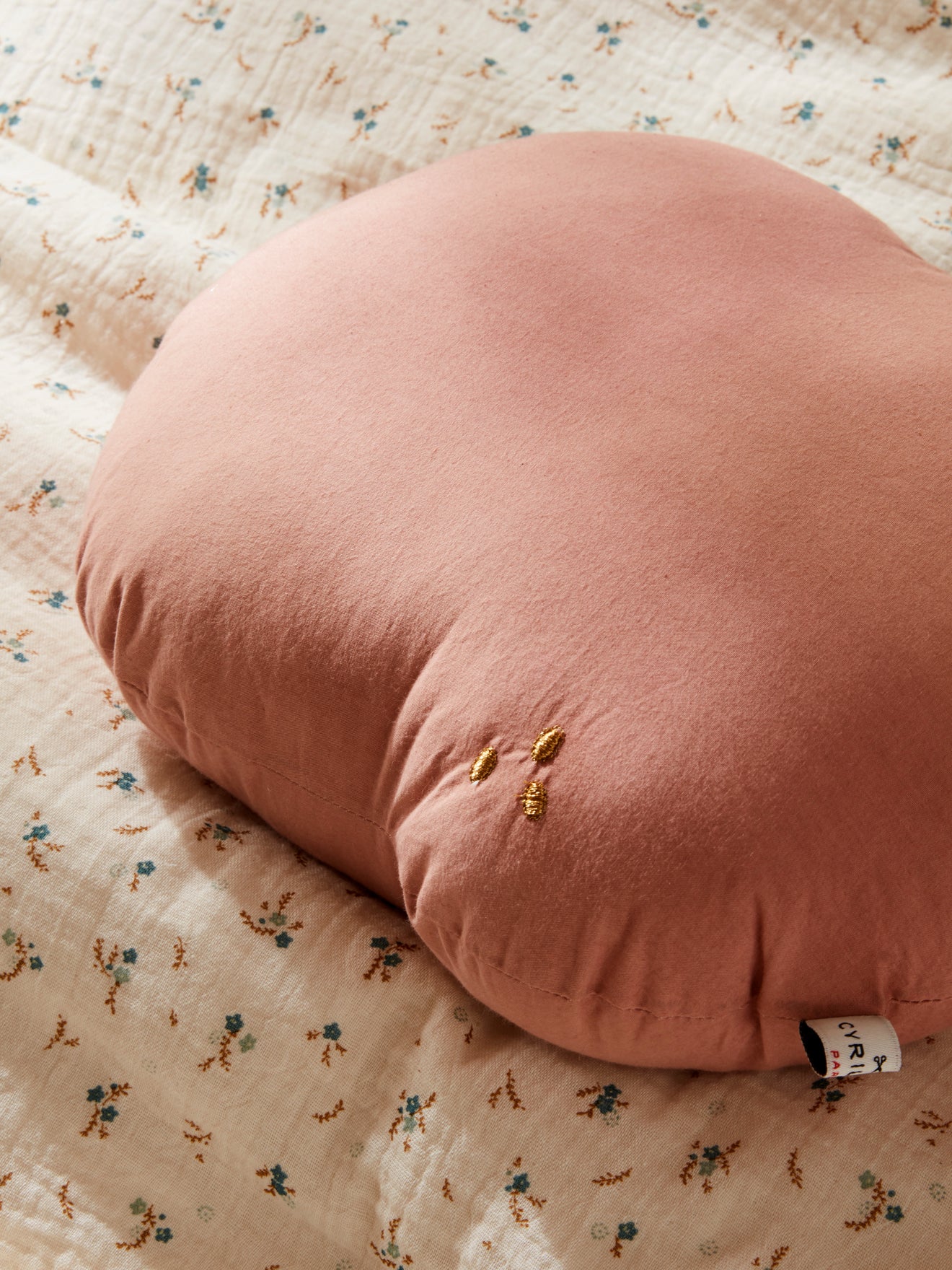 Coussin fruit en coton
