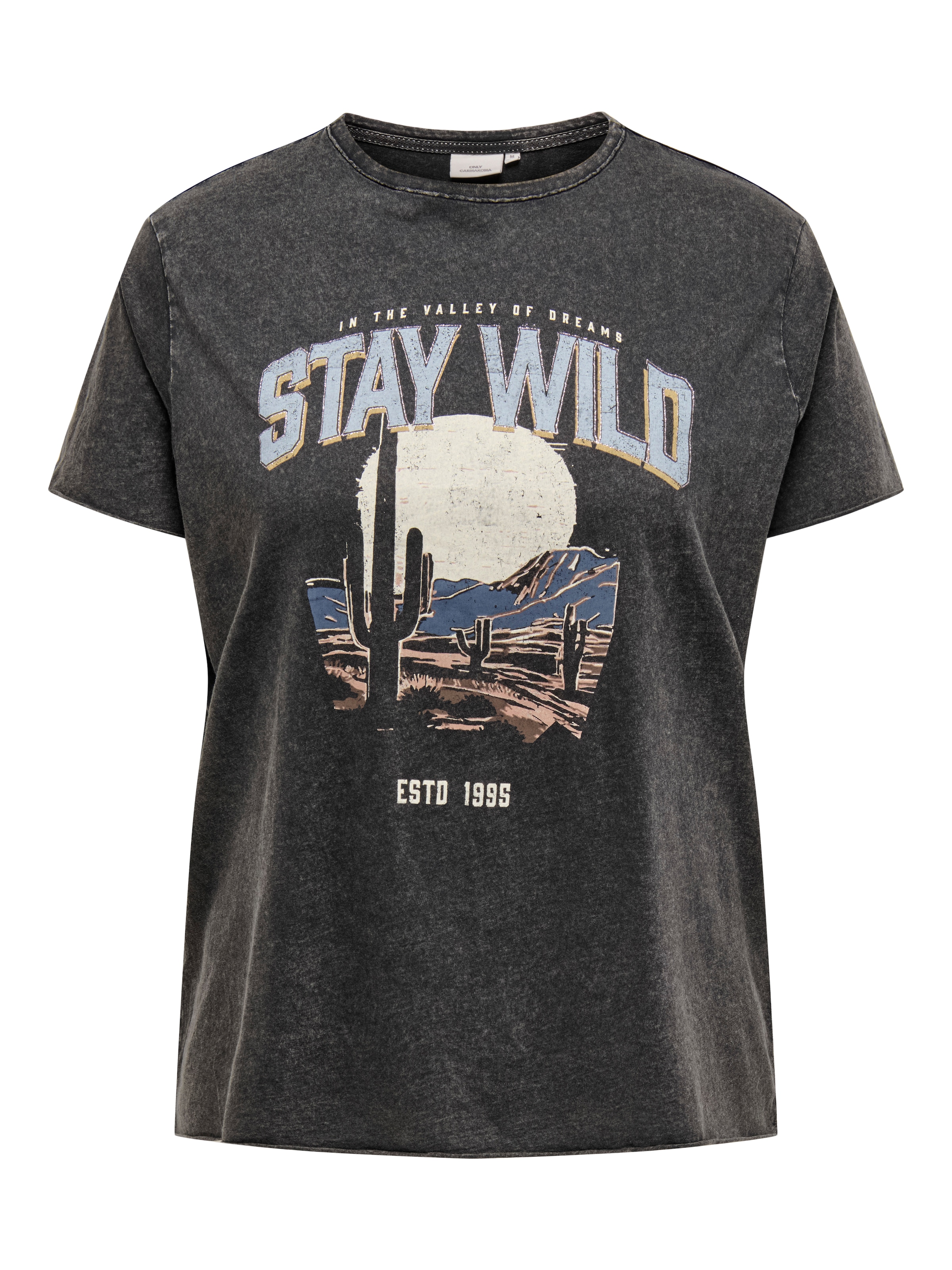 ONLY CARMAKOMA T-Shirt »CARLUCY LIFE REG S/S TOP JRS NOOS«
