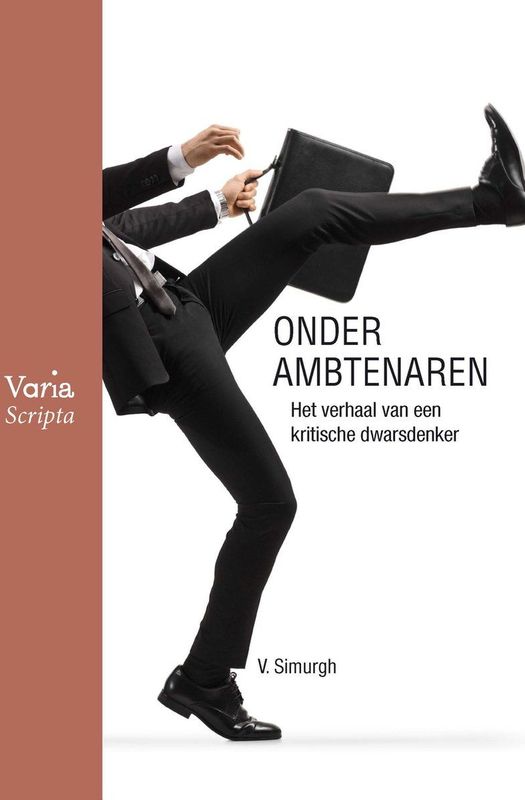 Boek - Kritische Dwarsdenker - Van Leengrond - Ambtelijke Carrière