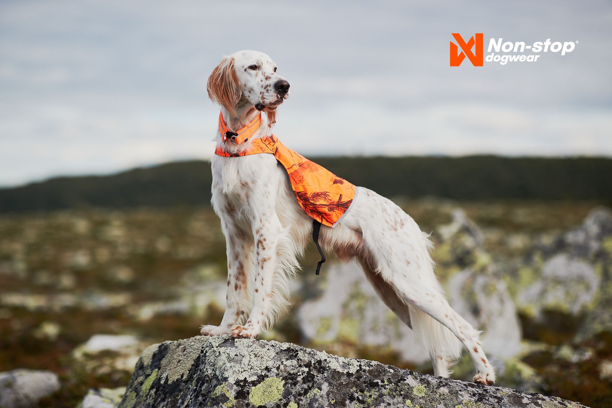 Non-Stop Dogwear Camo Cover<br>Striper i 3M™ refleks