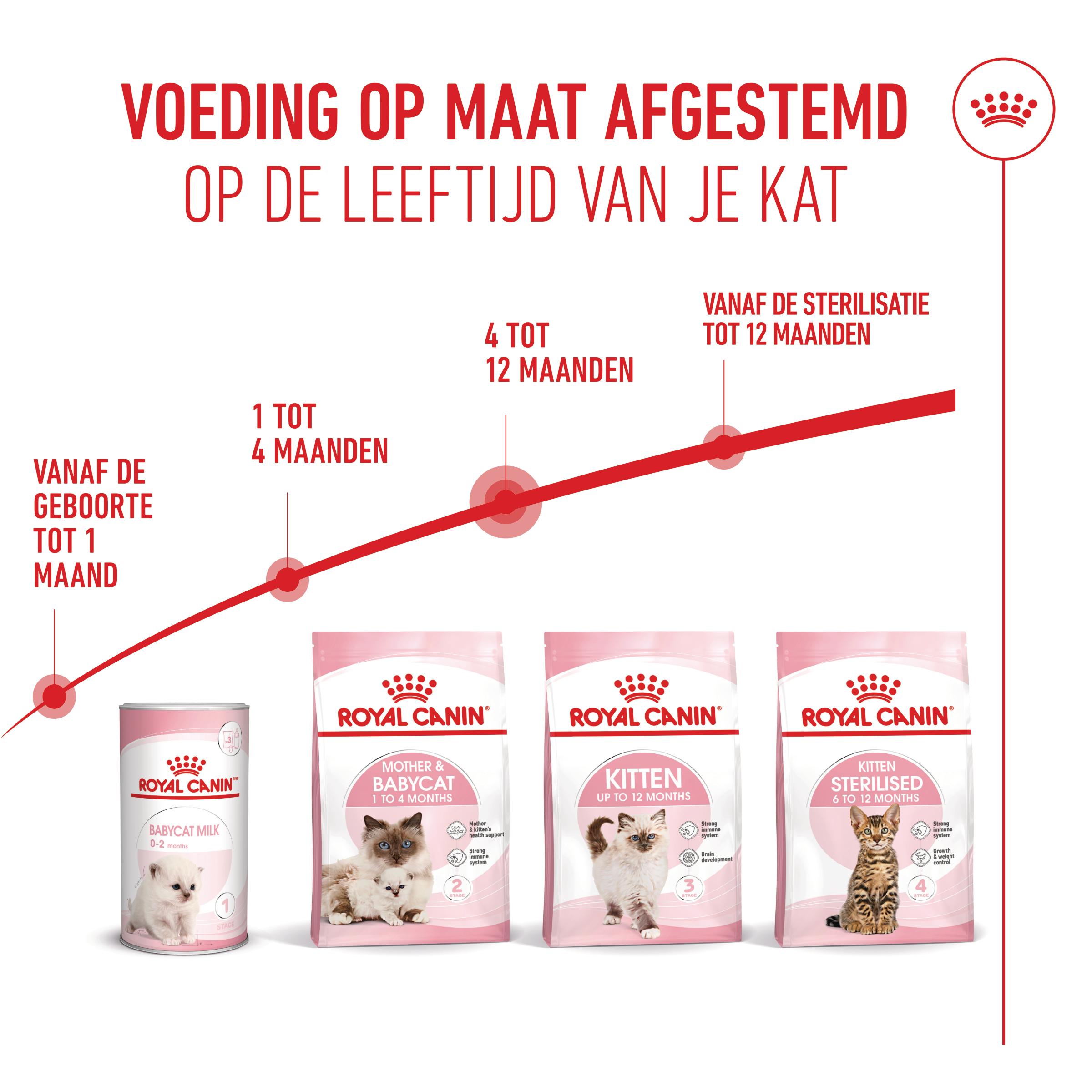Royal Canin Kitten - Kattenvoer