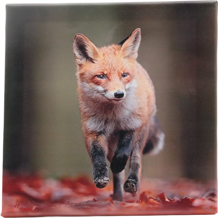 Farmwood Animals tuinschilderij Jotte vos 0,5 x 25 x 25 cm
